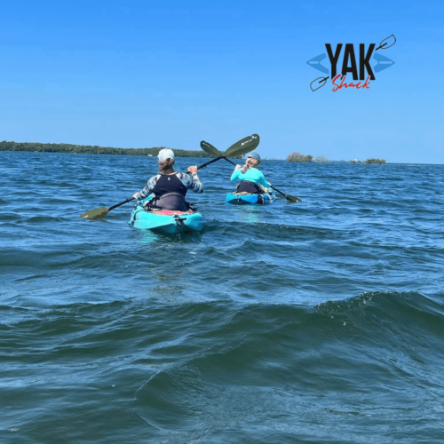 kayaking bradenton