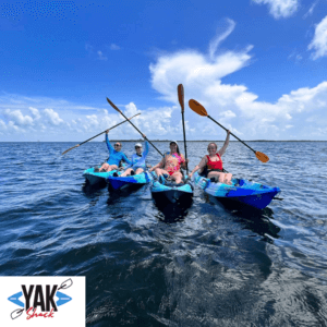 private kayak tours emerson point preserve