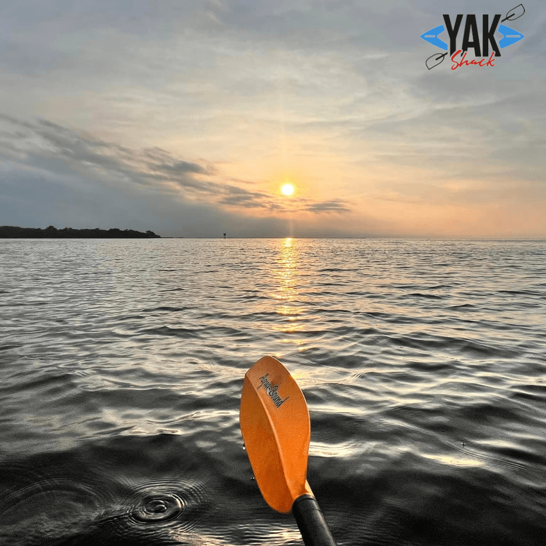manatee kayak tour anna maria island